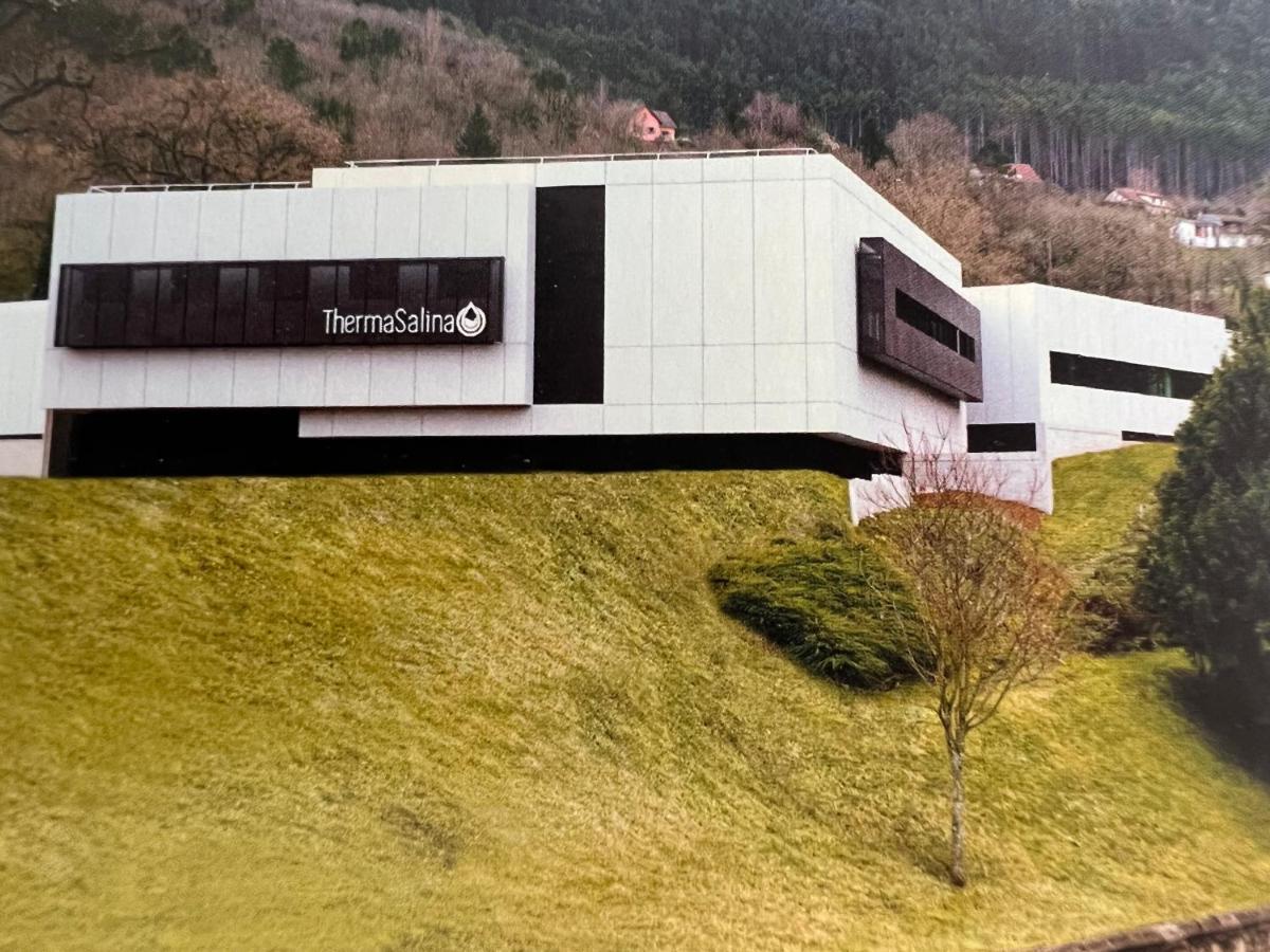 Apartamento Le Salinois Salins-les-Bains Exterior foto